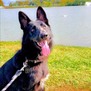 Meet your Posher, Aaron